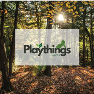 playthings movement cards